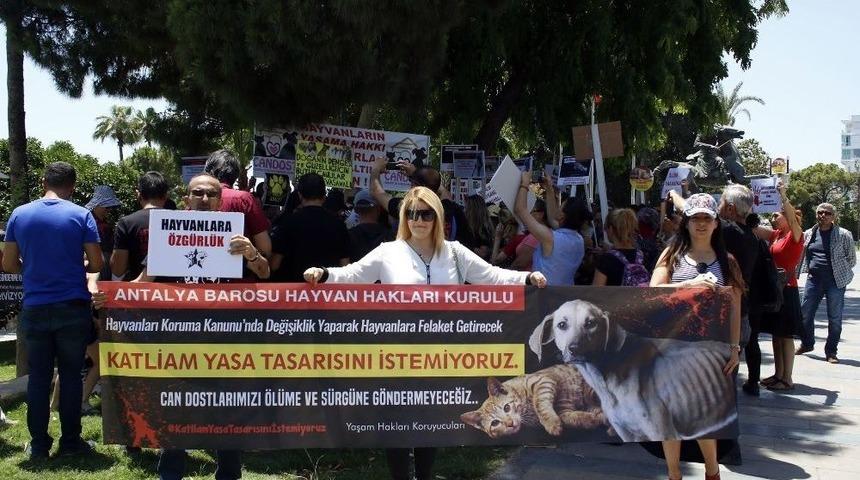Hayvan Hakları İ&ccedil;in 44 Derecelik Sıcağa Aldırmadılar