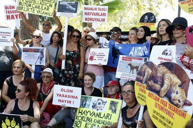 Hayvan Hakları İ&ccedil;in 44 Derecelik Sıcağa Aldırmadılar 2