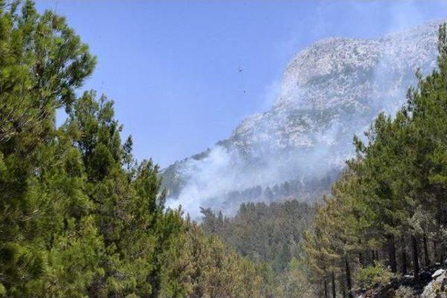 Alanya'da Turistik Bölgede Makilik Yangını (3)