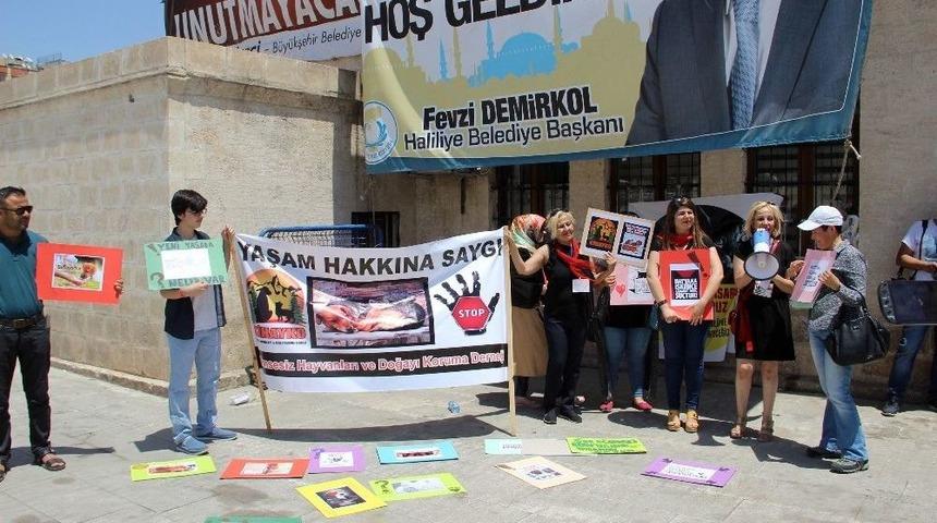 Hayvan Hakları Savunucularından Yasa Tasarısına Tepki
