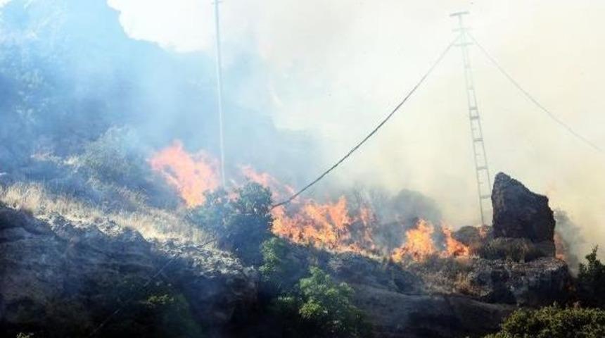 Tarım Arazilerinde &Ccedil;ıkan Yangın Bodrumluları Korkuttu