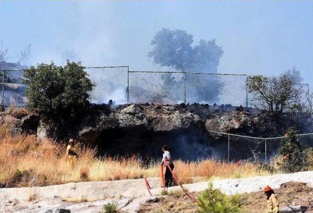 Tarım Arazilerinde Çıkan Yangın Bodrumluları Korkuttu