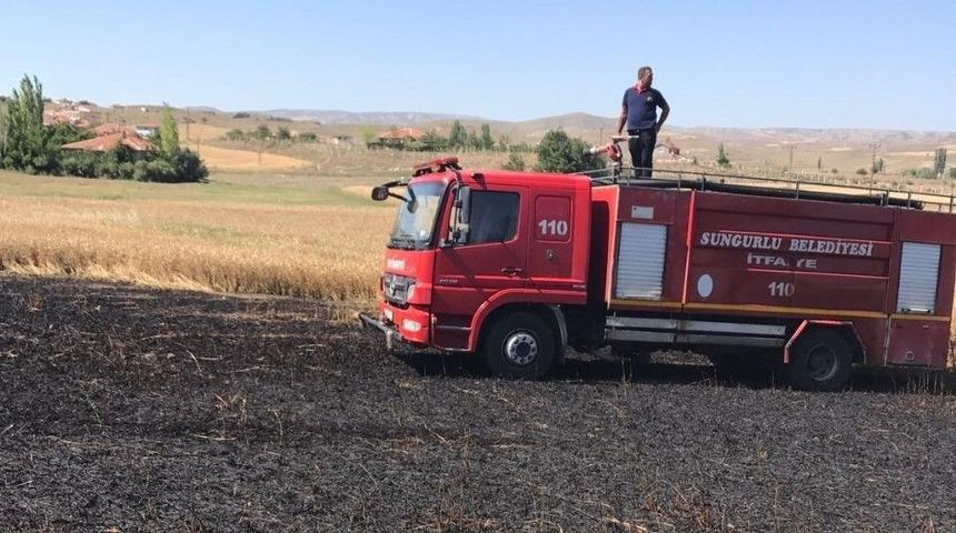 Sungurlu&rsquo;da Buğday Ekili Tarla Yandı