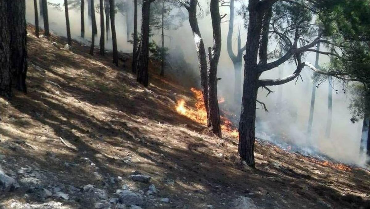 Anamur&rsquo;daki Orman Yangını Devam Ediyor, Evler Boşaltıldı