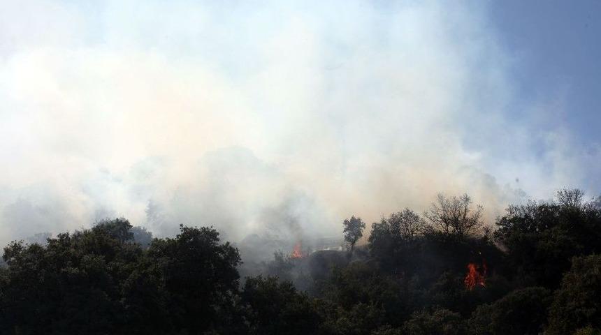 Bodrum&rsquo;daki Yangın S&ouml;nd&uuml;r&uuml;ld&uuml;