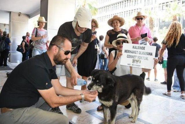 İzmir'de Hayvanseverlerden Yasa Tasarısı Tepkisi