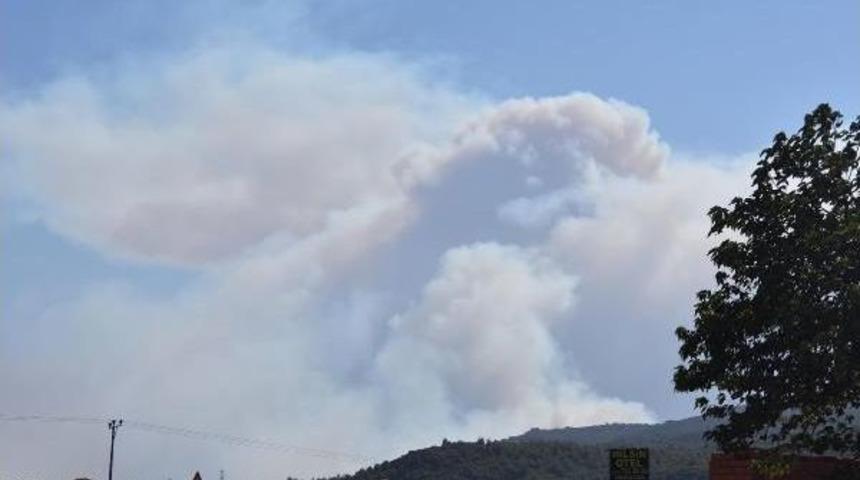 İzmir'de Orman Yangını (3)