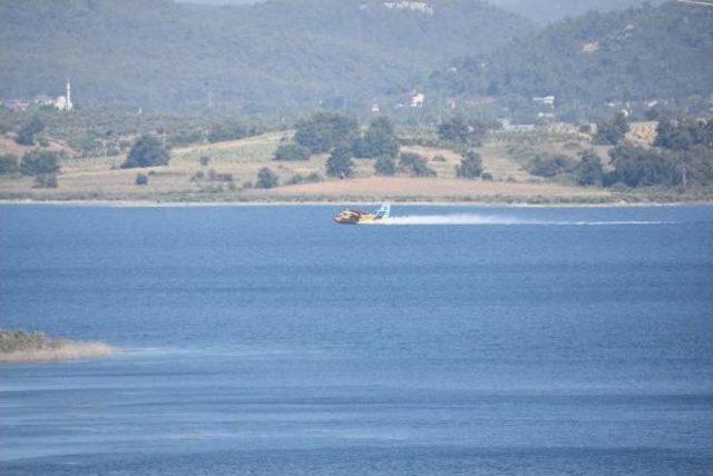 İzmir'de Orman Yangını (3)