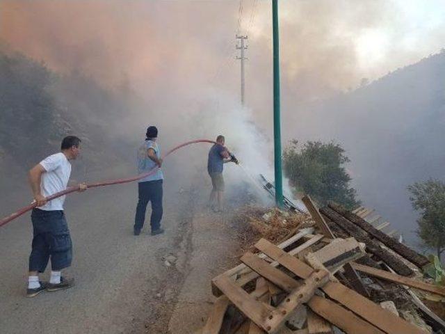 Bodrum Çöplüğünde Başlayan Yangın Ormana Sıçradı