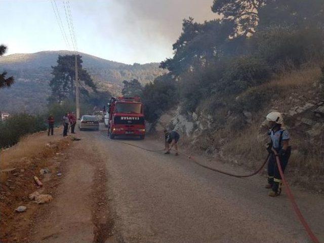 Bodrum Çöplüğünde Başlayan Yangın Ormana Sıçradı