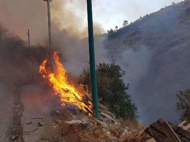 Bodrum Çöplüğünde Başlayan Yangın Ormana Sıçradı