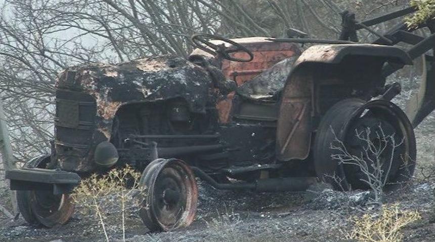 İzmir&rsquo;deki Yangında Onlarca Zeytin Ağacı Zarar G&ouml;rd&uuml;