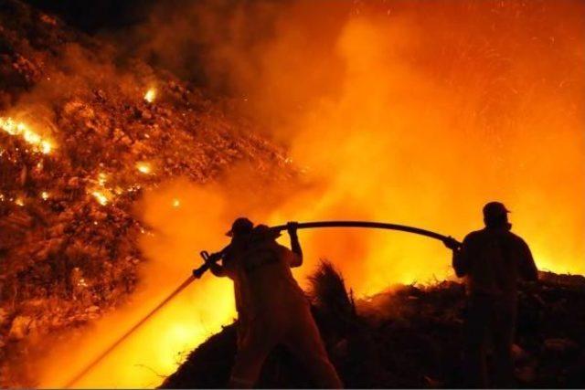 Bodrum Çöplüğünde Başlayan Yangın, Ormana Sıçradı (2)