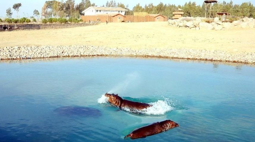 &ldquo;doğal Yaşam&rdquo; Ailesi B&uuml;y&uuml;yor