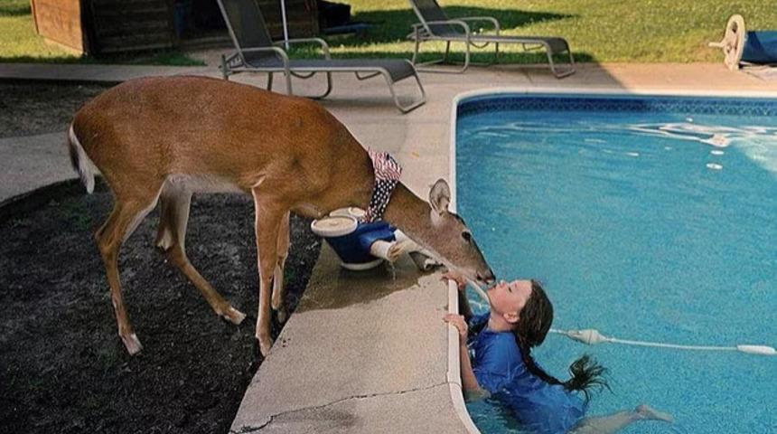 Kızının hayvanlara alışması i&ccedil;in vahşi yaşam parkında yaşayan anne ve kızı