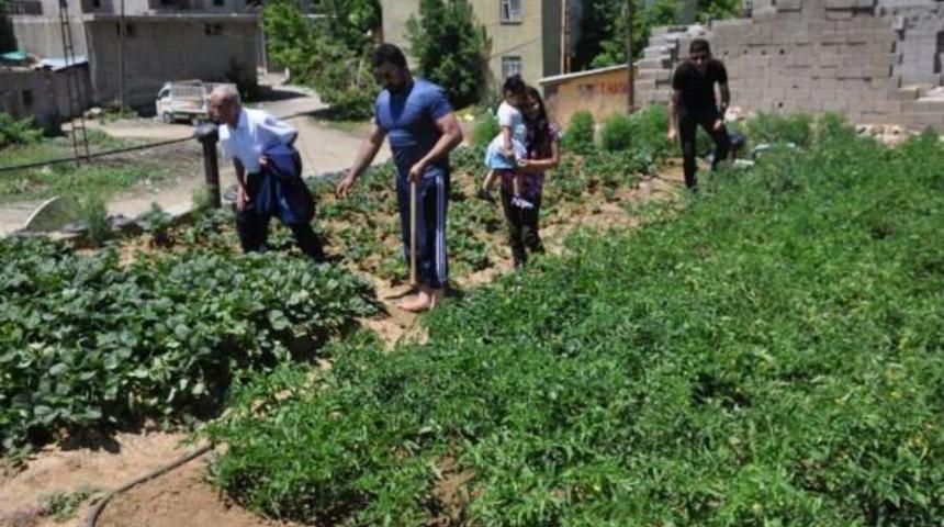Evinin Damını Bah&ccedil;e Yaptı