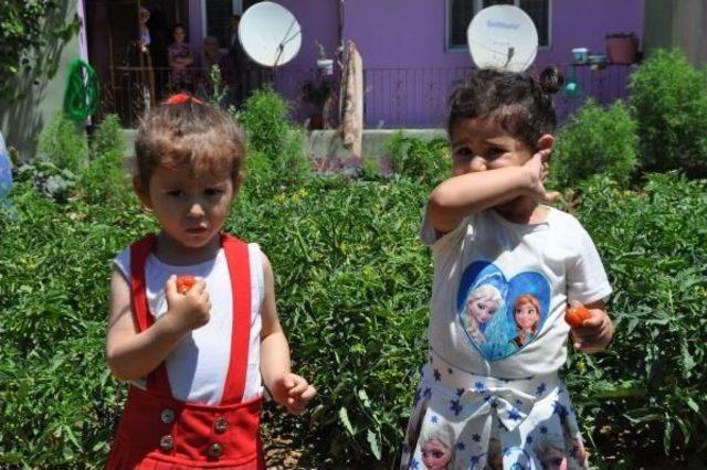 Evinin Damını Bah&ccedil;e Yaptı 3