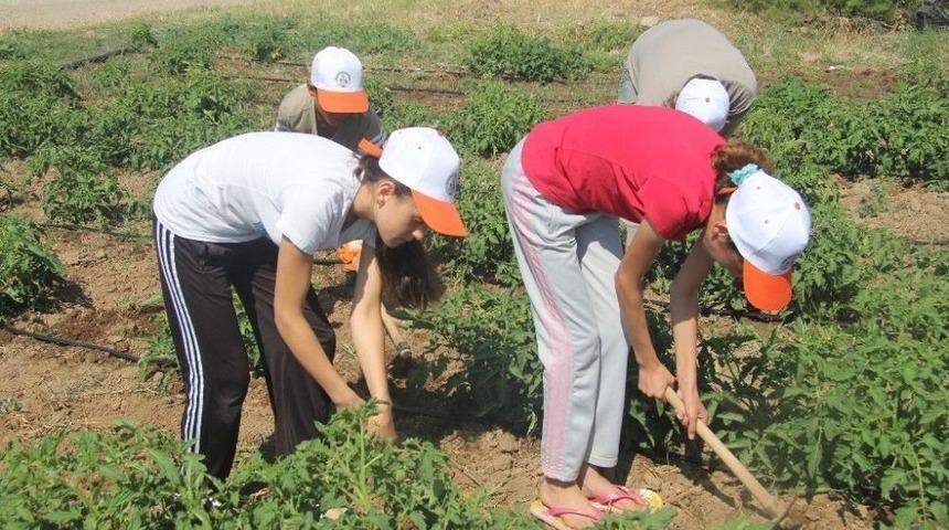 Burhaniye&rsquo; De &Ouml;ğrencilere Yaz Kampı Başlıyor
