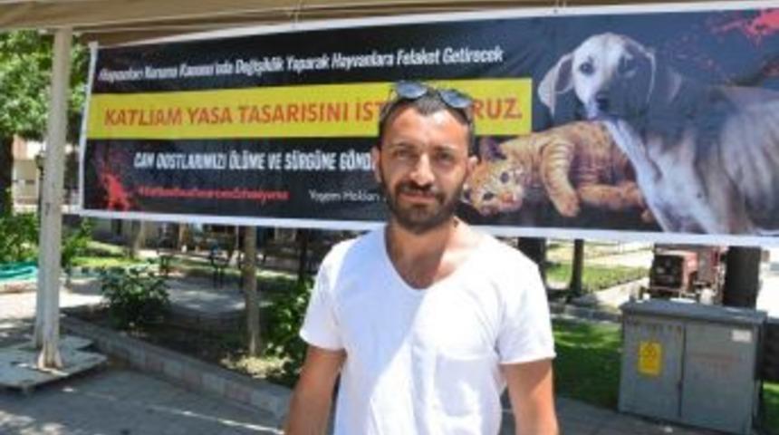 Video &Ccedil;ektim, Hakarete Uğradım