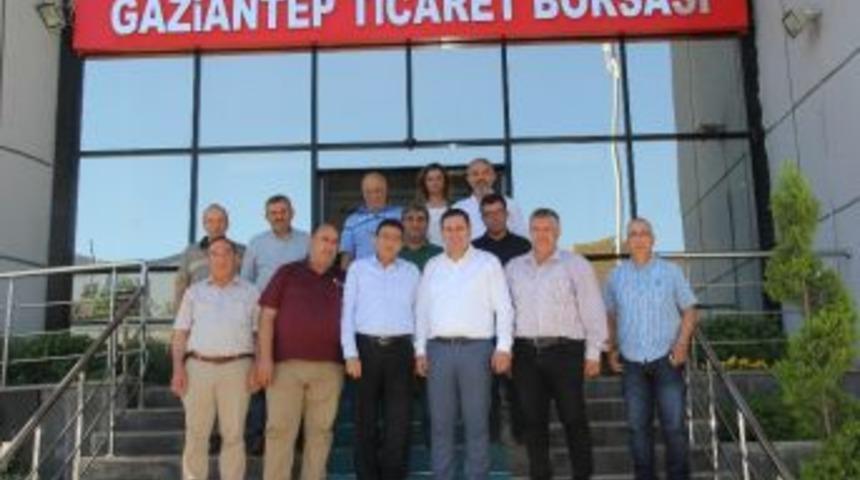 El&uuml;s&rsquo;te Hedef 1 Milyon Ton