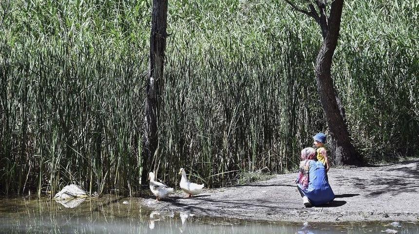 Ankaralılar Piknik Alanlarını Doldurdu