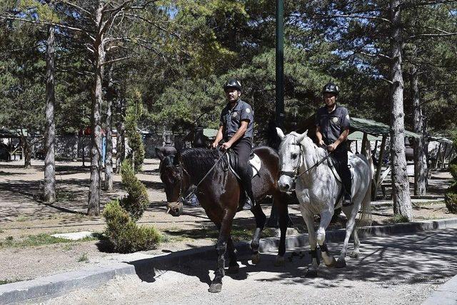 Ankaralılar Piknik Alanlarını Doldurdu