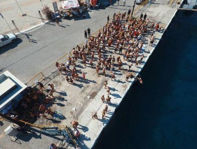 Meis- Kaş Arasında Kulaçlar Dostluk Için Atıldı 3