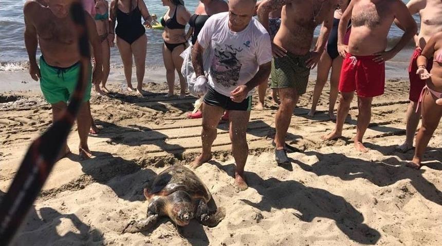 Kuşadası&rsquo;nda Caretta Caretta Seferberliği