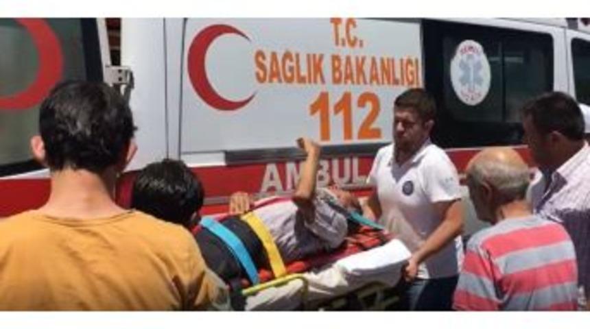 Ref&uuml;je &Ccedil;arpan S&uuml;r&uuml;c&uuml; Camdan Yola U&ccedil;tu