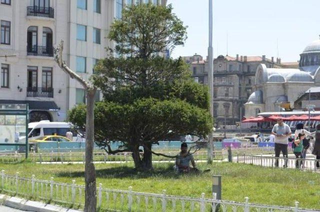 İstanbul Kuzey Rüzgarlarıyla Nefes Alacak. Salı Günü Hem Yağmur Hem Fırtına ...