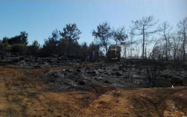 Manavgat'ta Makilik Alanda Çıkan Yangın Korkuttu