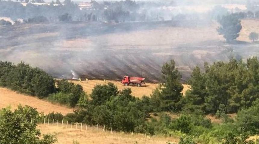 &Ccedil;anakkale'de Tarım Arazisindeki Yangın Ormana Da Sı&ccedil;radı