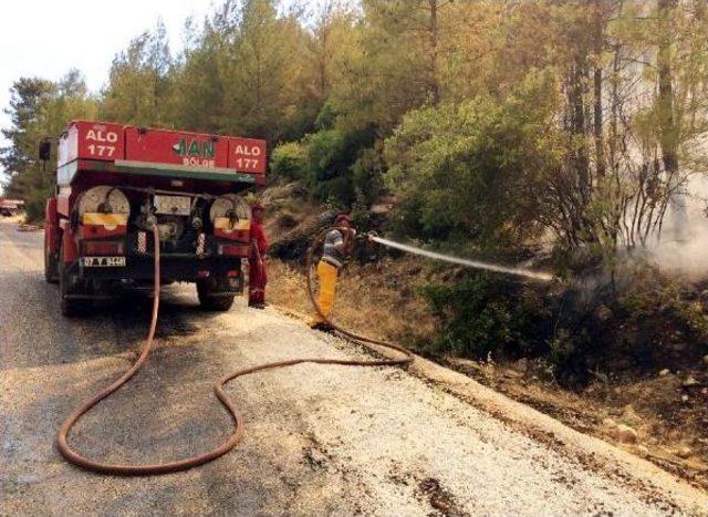 Kaş'ta Orman Yangını