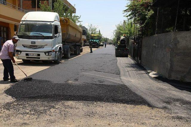 Sarı Sıcakta Asfalt Çalışması