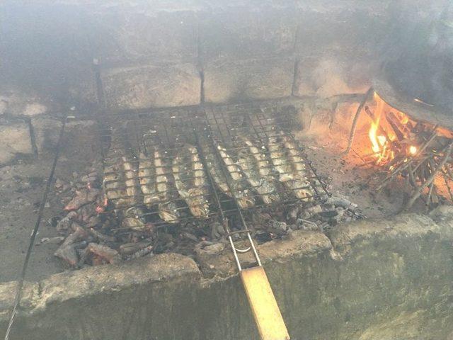 Piknikçiler Alabalık Tesislerine Rağbet Gösterdi