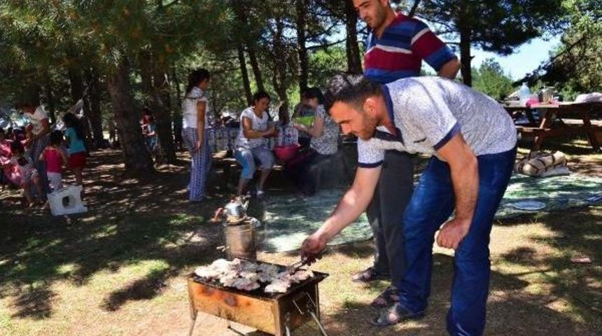 Afrika Sıcaklarından Bunalanlar Spil Dağı'na Koştu