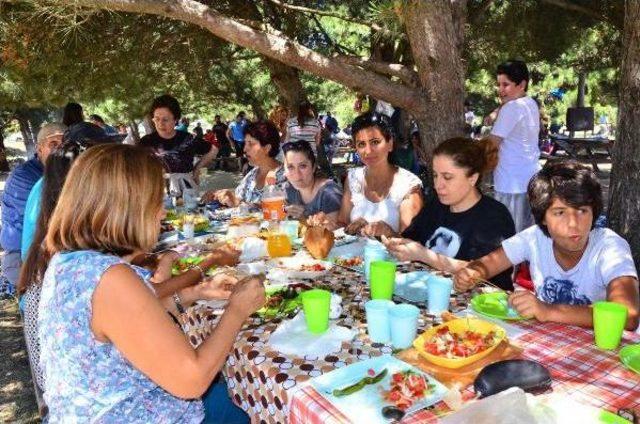 Afrika Sıcaklarından Bunalanlar Spil Dağı'na Koştu