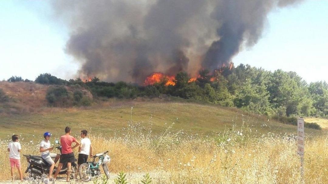Manavgat&rsquo;ta Makilik Yangını