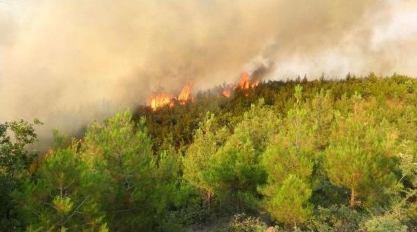 &Ccedil;anakkale'de Tarım Arazisindeki Yangın Ormana Da Sı&ccedil;radı (2)