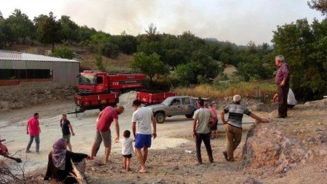 Çanakkale'de Tarım Arazisindeki Yangın Ormana Da Sıçradı (2)