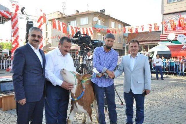 Kelkit Organik Tarım Ve Hayvancılık Festivali Başladı