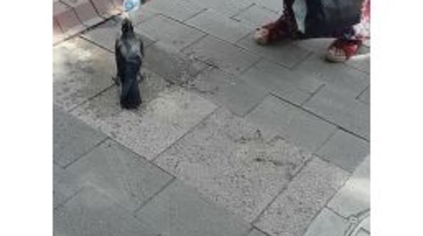 Denizli&rsquo;de Kamu Personeline Aşırı Sıcak Tatili