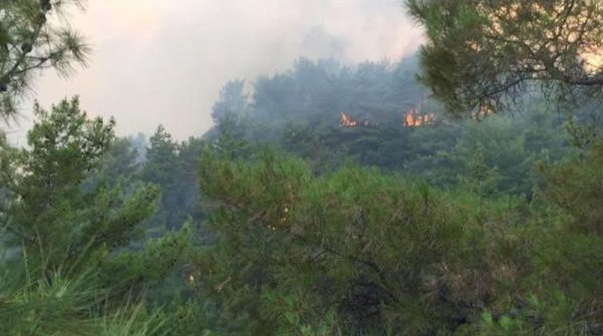 Kaş'ta Orman Yangını (2)