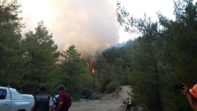 Kaş'ta Orman Yangını (2)