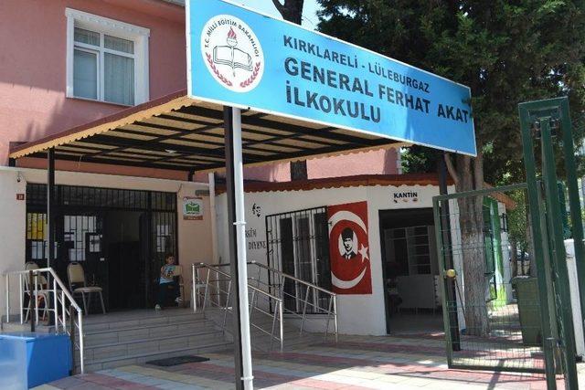 Okul Kantinin İçinden Ağaç Geçiyor 1