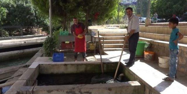 Pkk Baz Istasyonunu Yakınca Mağdur Oldular 1