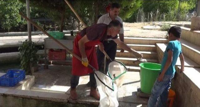 Pkk Baz Istasyonunu Yakınca Mağdur Oldular 2