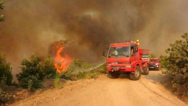 Çanakkale deki Orman Yangını Devam Ediyor 1