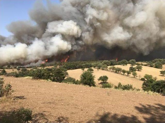 Çanakkale deki Orman Yangını Devam Ediyor 3