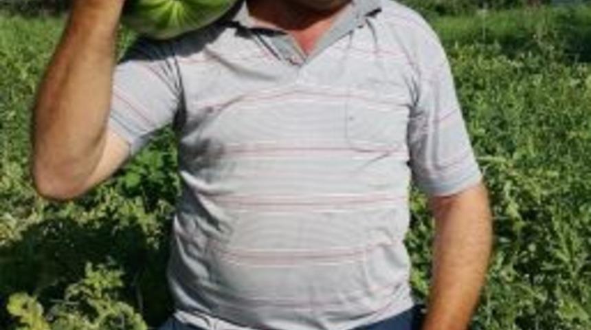 &Ouml;demiş Karpuzu Yine Tarlada Kaldı